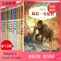 [正版新书][学校指定版]沈石溪动物小说全集 正版全套12册 沈石溪的书全系列 小学生初中生四五六年级课外阅读书籍儿童