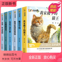 百年经典儿童文学[全套6册] [正版新书]全6册百年经典冰心奖儿童文学全集 魔法学校小学生三四五六年级必读的课外书阅读老