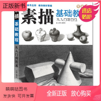 [正版新书]素描基础教程从入门到精通零基础自学教材书铅笔石膏几何体静物素描线面结构临摹本经典全集美术画画入门素描教学绘