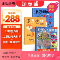 [正版新书]东方娃娃智力版+东方娃娃幼儿大科学杂志+奇想岛1期 组合订阅 2024年1月起订 杂志铺 组合共24期 幼