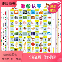 双面挂图 [正版新书]识字书幼儿认字0-3-6岁宝宝启蒙认知双面挂图无声全套10张婴儿撕不烂书籍 数字水果蔬菜动物卡片