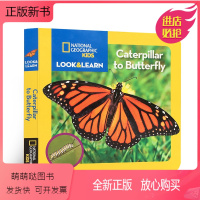 国家地理幼儿版(看与学):毛毛虫 [正版新书]100元4件美国国家地理幼儿版儿童百科全书National Geograp