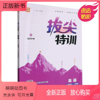英语(8上人教版)/拔尖特训 八年级上 [正版新书]2023秋 英语(8上人教版)/拔尖特训 RJ版初二八年级教材同步练
