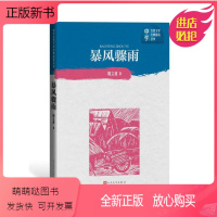 [正版新书][正版]暴风骤雨(长篇小说).9787020151707