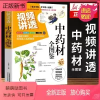 [正版新书]视频讲透中药材全图鉴正版 中草药大全中药材识别图鉴书籍 中医入门中草药大全书籍药材植物彩图中药大全书中医大