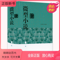 [正版新书]精装正版微型小说鉴赏辞典