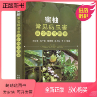 [正版新书]蜜柚常见病虫害速诊快治图鉴蜜柚种植技术果树种植技术果树种植书籍水果种植书籍常见病害症状描述病原防控措施琯溪