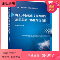 [正版新书]海上风电机组支撑结构与地基基础一体化分析设计 林毅峰 十三五国 家重点出版物出版规划项目 疲劳损伤分析 群