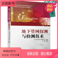 理科 [正版新书]正版 地下管网探测与检测技术 浙江天煌科技实业有限公司 王强 探地雷达探测技术书供水管网的系统检漏