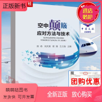[正版新书]正版书籍 空中颠簸应对方法与技术 陈奇冯天美陈璞王占海主编 空中颠簸事件案例分析空中颠簸机理预报技术探测方