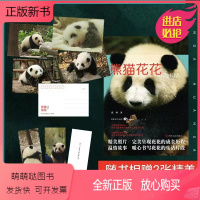[正版新书][书签*2+明信片*4]]正版 熊猫花花 蒋林著 大熊猫和花成长历程知识问答科普小说记录花花的作品超多