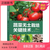 [正版新书]蔬菜无土栽培关键技术 唐世凯 果蔬菜类叶菜类蔬菜芽苗菜高效绿色生态农业栽培种植技术教程大棚果蔬西红柿黄瓜茄