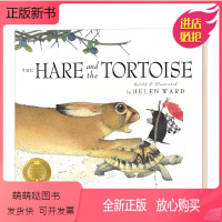 [正版新书]龟兔赛跑 The Hare and the Tortoise 重述故事绘本 锡制森林同作者 Helen W