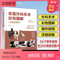 [正版新书]家畜外科手术彩色图解李建基小动物外科手术学养牛养羊养猪肉牛养殖技术书籍大全畜牧兽医诊疗与处方手册常见家畜疾