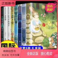 [全套8册]纽伯瑞儿童文学金奖作品集 [正版新书]全套8册纽伯瑞国际儿童文学金奖作品小说系列小学生三四年级至五六年级阅读