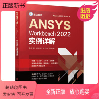 [正版新书]ANSYS Workbench2022实例详解 Ansys工程师系列丛书 ANSYS Workbench有