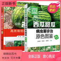 [正版新书]果树栽培修剪图解丛书设施西瓜高效栽培技术图解第二版蔬菜种植书籍大全农业大棚西瓜病虫害图谱西瓜嫁接西瓜高产稳