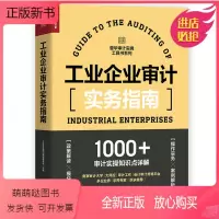 [正版新书]工业企业审计实务指南 人民邮电出版社 审计报告内部审计学企业管理实务财务报表财务会计财会舞弊税务投资大风控