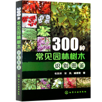 全新300种常见园林树木识别图鉴布凤琴9787122216571