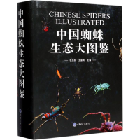 全新中国蜘蛛生态大图鉴张志升,王露雨 主编97875689080