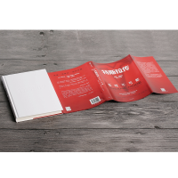 全新特斯拉传 实现不可能(新西兰)哈米什·麦肯齐9787521702101