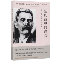 全新暴风雨中的海燕