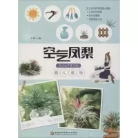 全新空气凤梨 无土也可养活的懒人植物王伟9787538898996