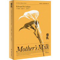 全新母乳(英)爱德华·圣奥宾9787532783878