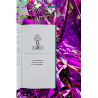 全新两位严肃女士(美)简·鲍尔斯9787509016329