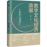 全新数字文化经济浪潮金巍9787500171195