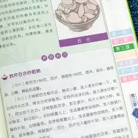 全新养好肺 气顺、不咳、不感冒作者9787555254669