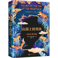 全新山顶上的男孩(爱尔兰)约翰·伯恩9787550290464