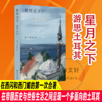 新月之下 游思土耳其西闪,西门媚9787305269349