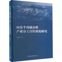 全新山东半岛城市群产业分工合作演化研究王春萌9787522716855