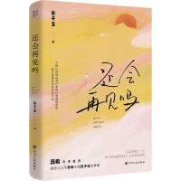 全新还会再见吗白子玉9787220133831