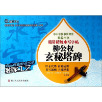 全新柳公权玄秘塔碑孔顼 编9787534048340