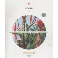 全新色彩的舞蹈刘芯芯 编著9787544179003