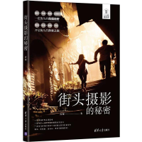 全新街头摄影的秘密高峻9787302600497