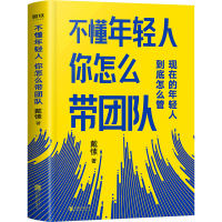 全新不懂年轻人 你怎么带团队戴愫9787559645432