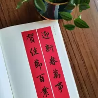 全新赵孟頫楷书集字春联沈菊9787547913758