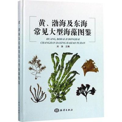 全新黄、渤海及东海常见大型海藻图鉴刘涛 主编9787521000597