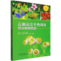 全新云南元江干热河谷常见植物图鉴作者9787521916140