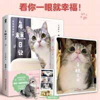 全新年糕日记(日)下仆9787541163531