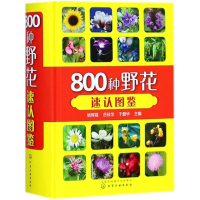 全新800种野花速认图鉴杨辉霞,岳桂华,于爱华 主编978712157