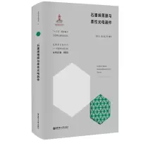 全新石墨烯薄膜与柔光电器件史浩飞9787562863458