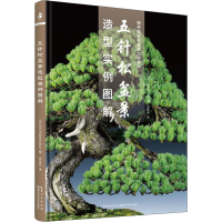 全新五针松盆景造型实例图解近代出版株式会社著9787570607242