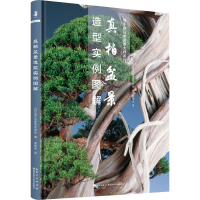 全新真柏盆景造型实例图解近代出版株式会社著9787570607228