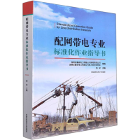 新配带电专业标准化作业指导书詹斌编9787312053498