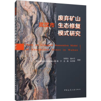 全新武汉市废弃矿山生态修复模式研究刘奇志 等9787112279883