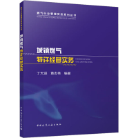 全新城镇燃气特许经营实务丁天进 黄志伟 编著9787112287765